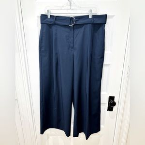 NWT Ann Taylor Atlantic Navy Pleated Wide Leg Crop Pant with Belt, Size 12